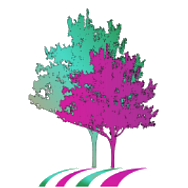 Savari’s Chartered Accountants (Pty) Ltd